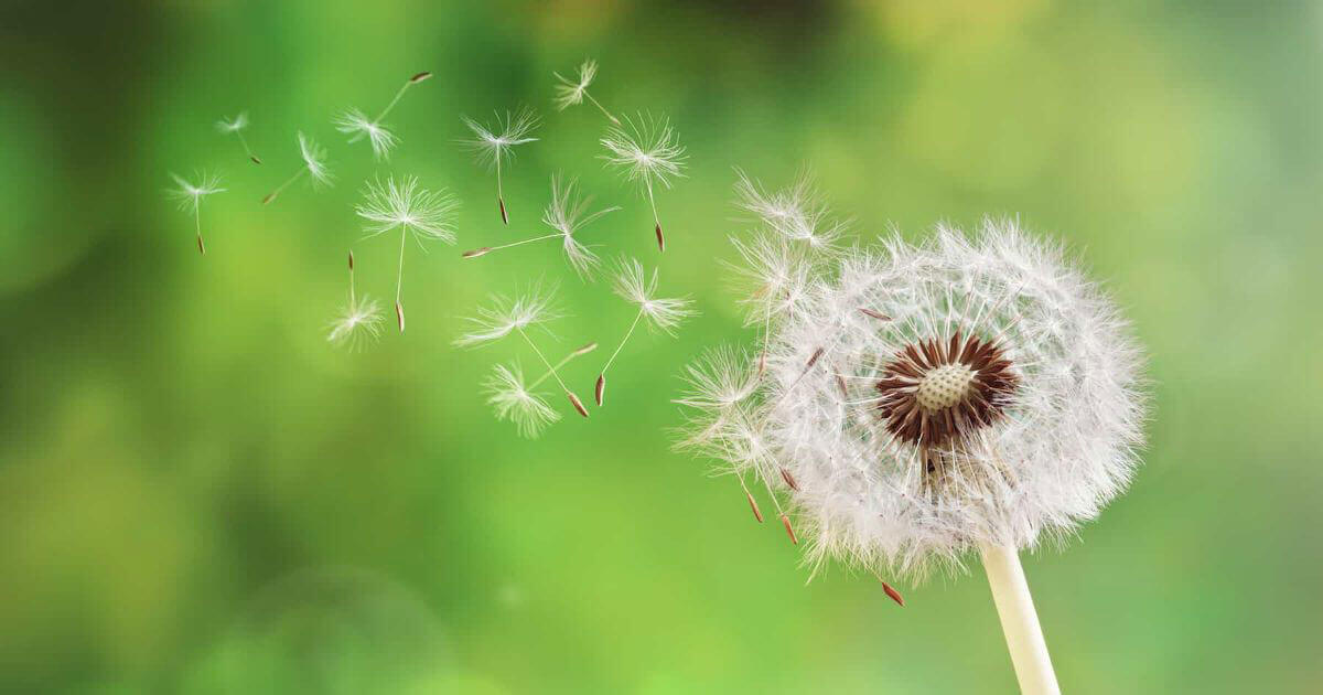 Best Antihistamine For Mast Cell Activation Syndrome (MCAS)